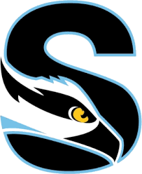 Sauczii